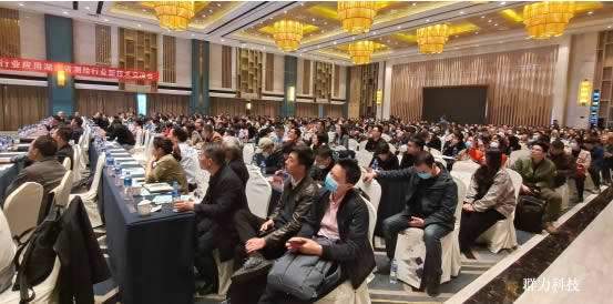 1619665393139917.jpg 5.jpg