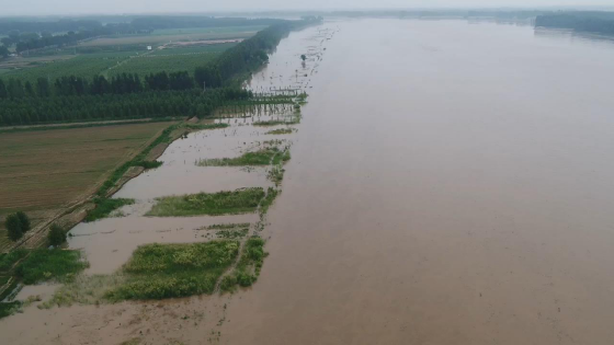 1650954758279276.png 圖片54.png