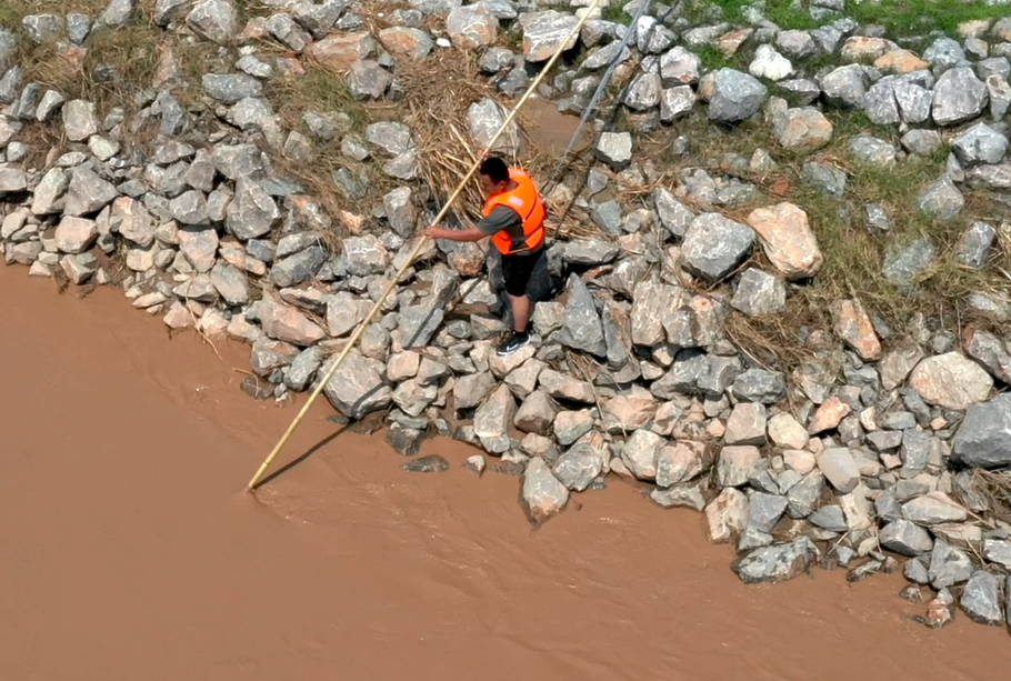 1651140719905216.png 8.png