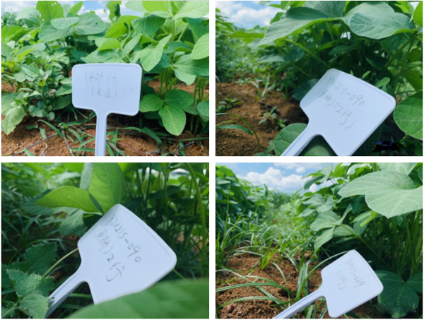 1658734566103796.png 微信截圖_20220725152823.png